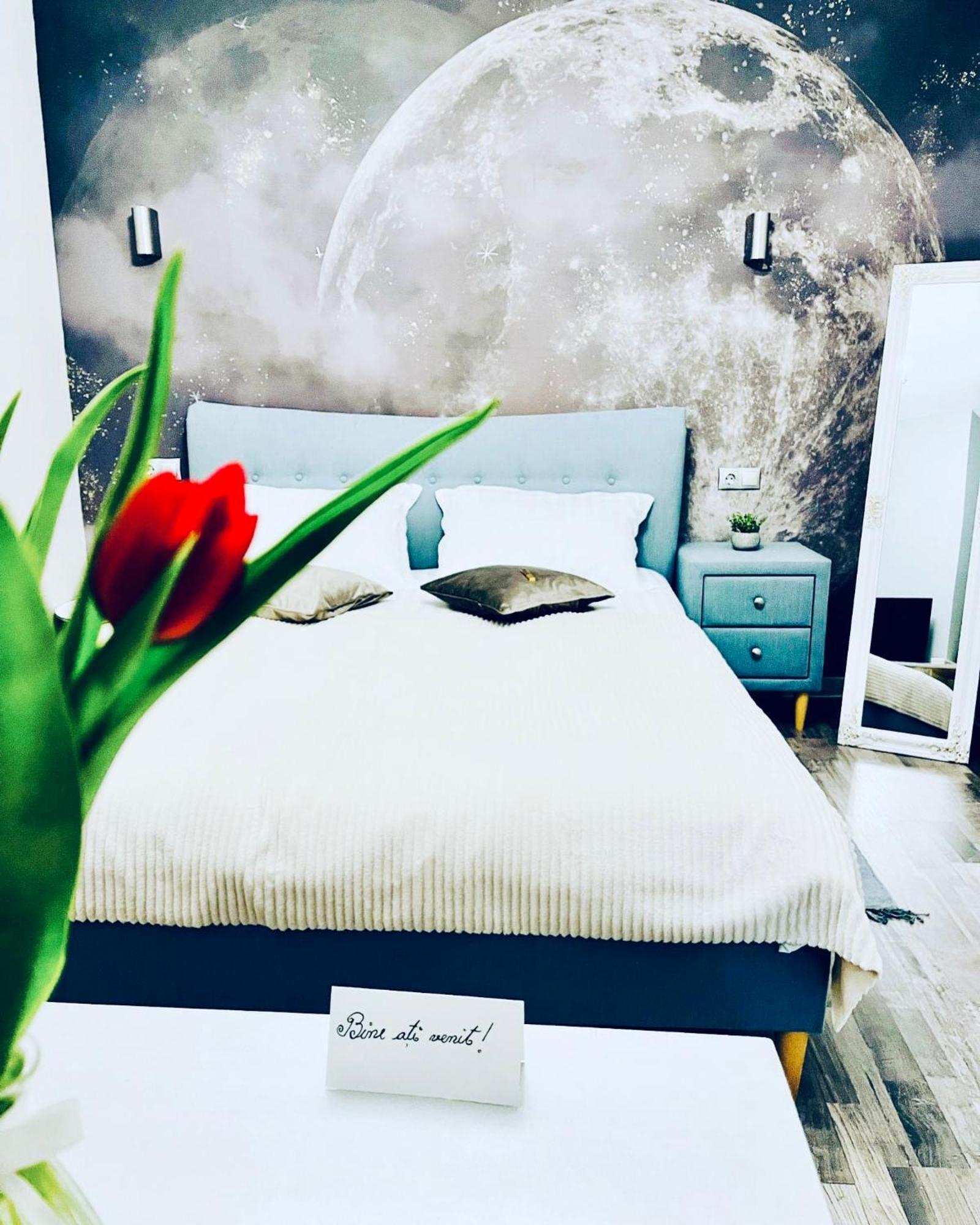 Moon And Sun Apartments Сибиу Экстерьер фото