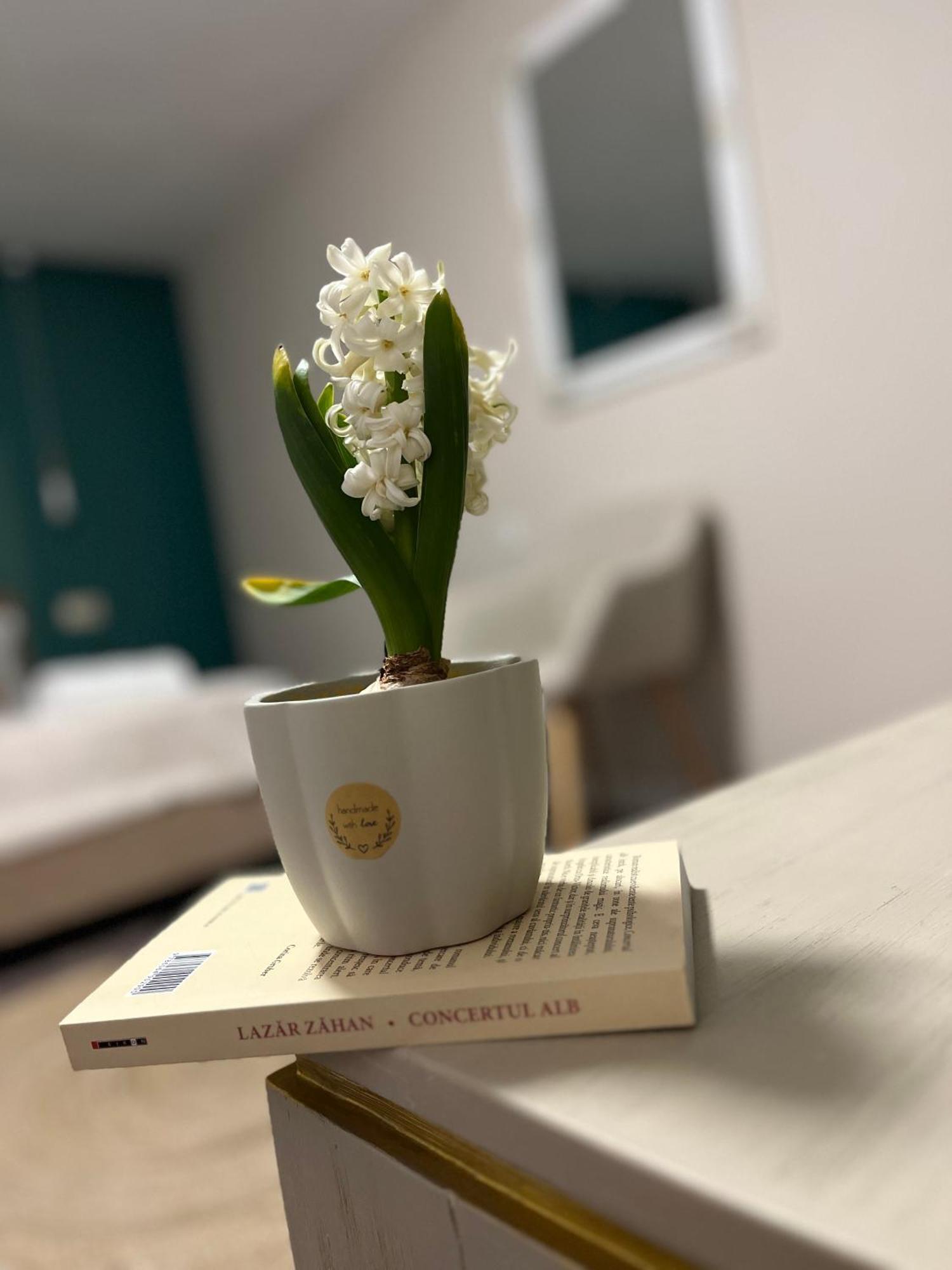 Moon And Sun Apartments Сибиу Экстерьер фото