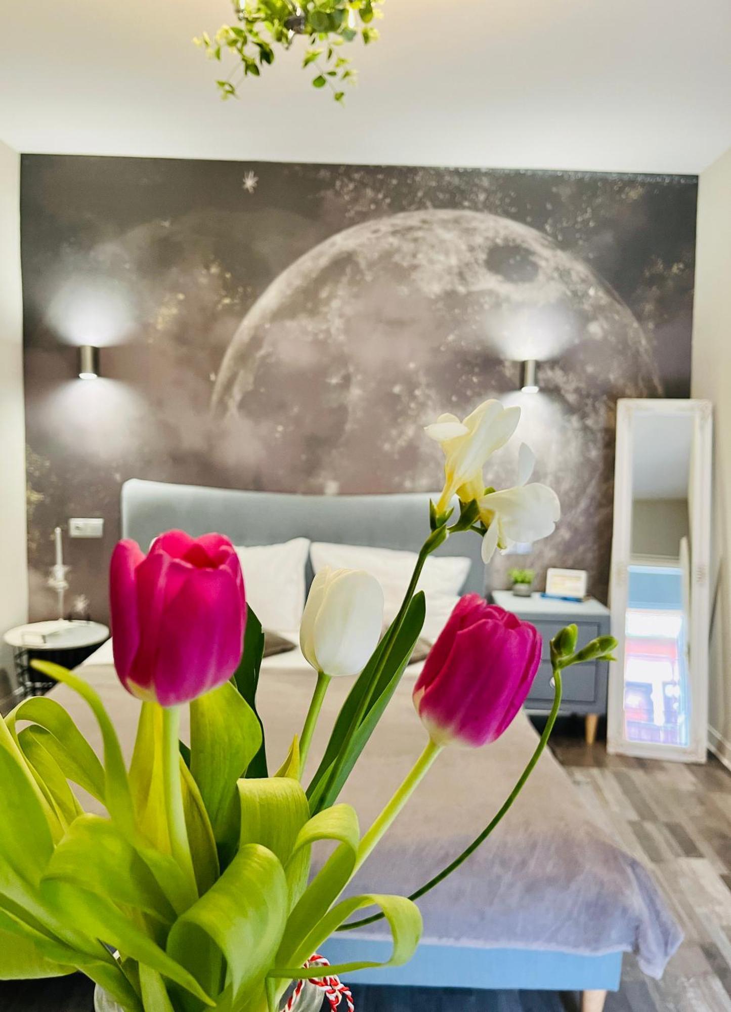 Moon And Sun Apartments Сибиу Экстерьер фото