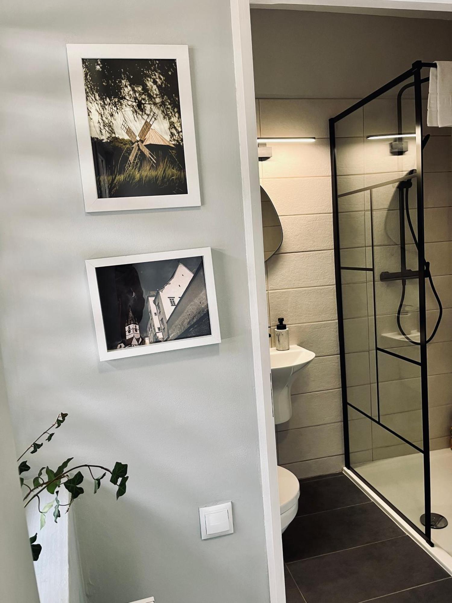 Moon And Sun Apartments Сибиу Экстерьер фото