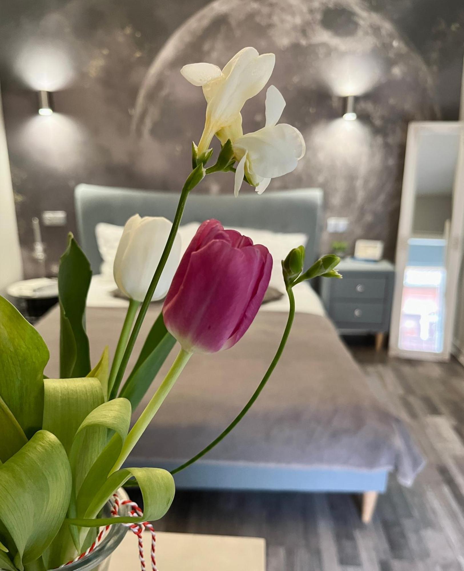 Moon And Sun Apartments Сибиу Экстерьер фото
