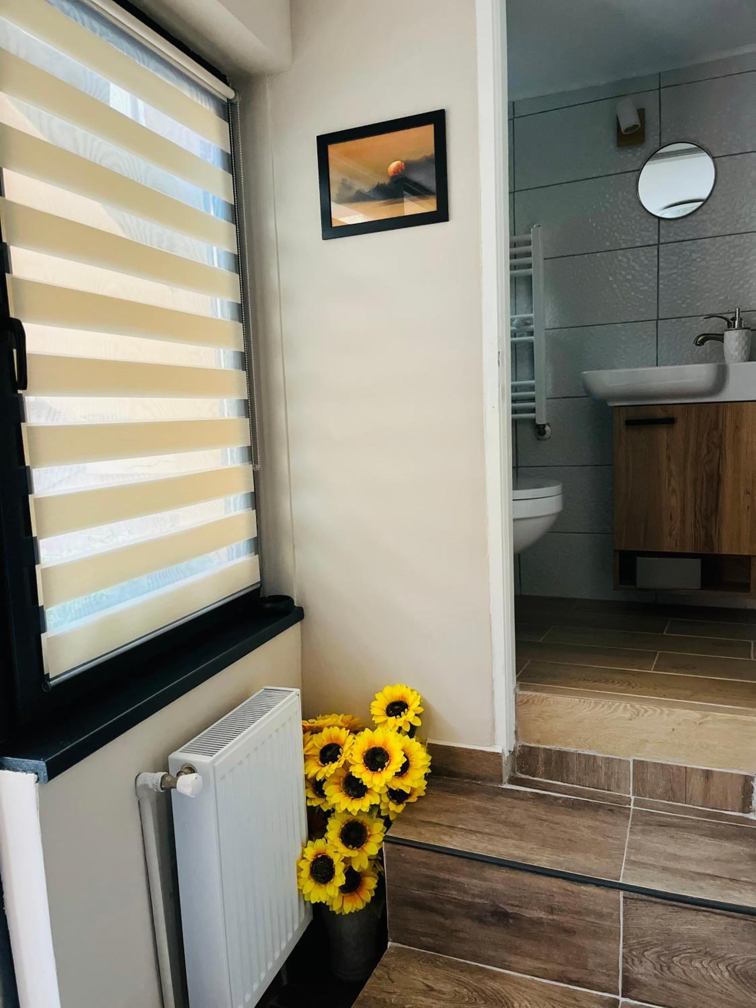 Moon And Sun Apartments Сибиу Экстерьер фото